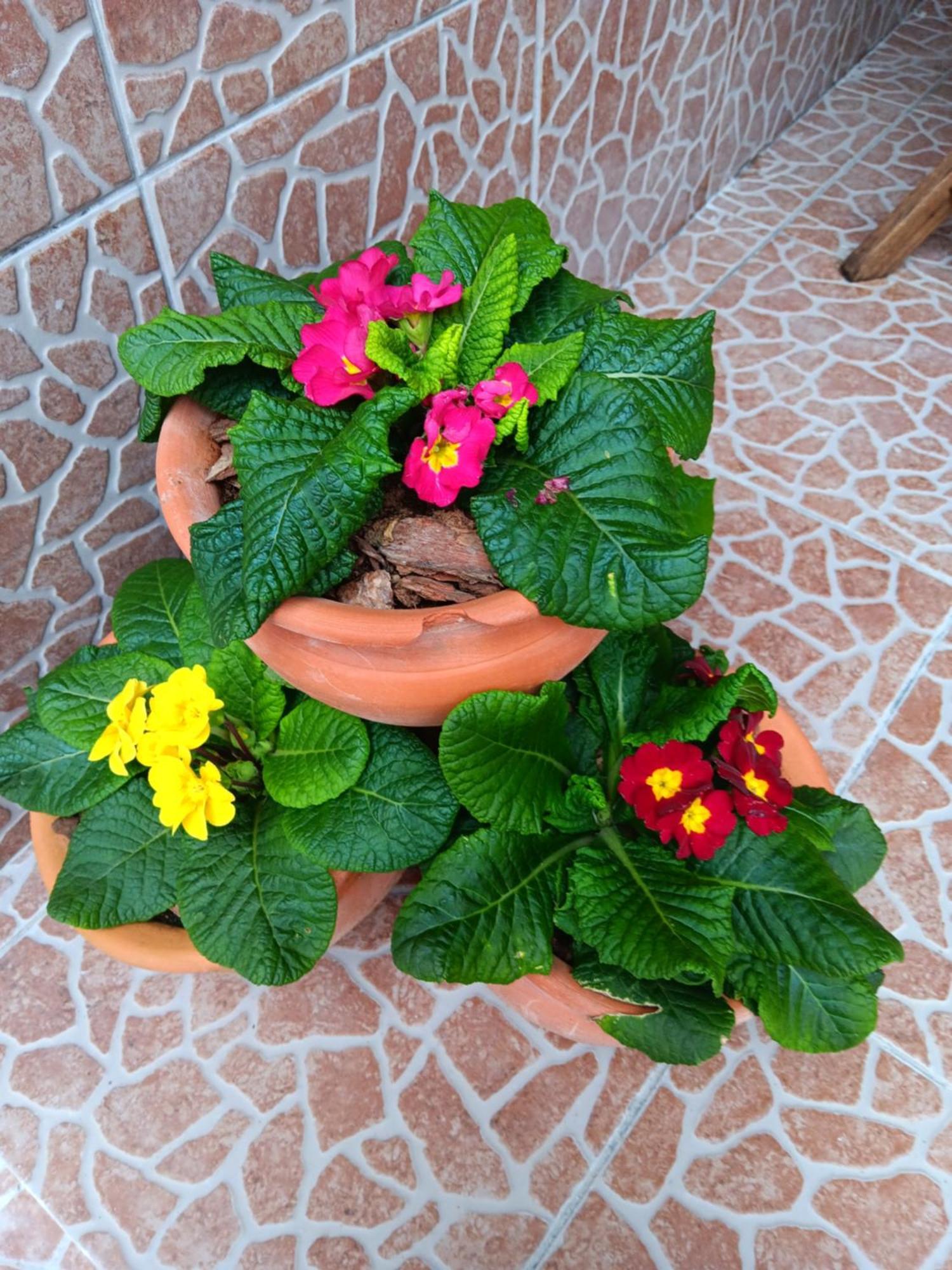 Villa Casa Da Rosarinha Água de Alto Esterno foto