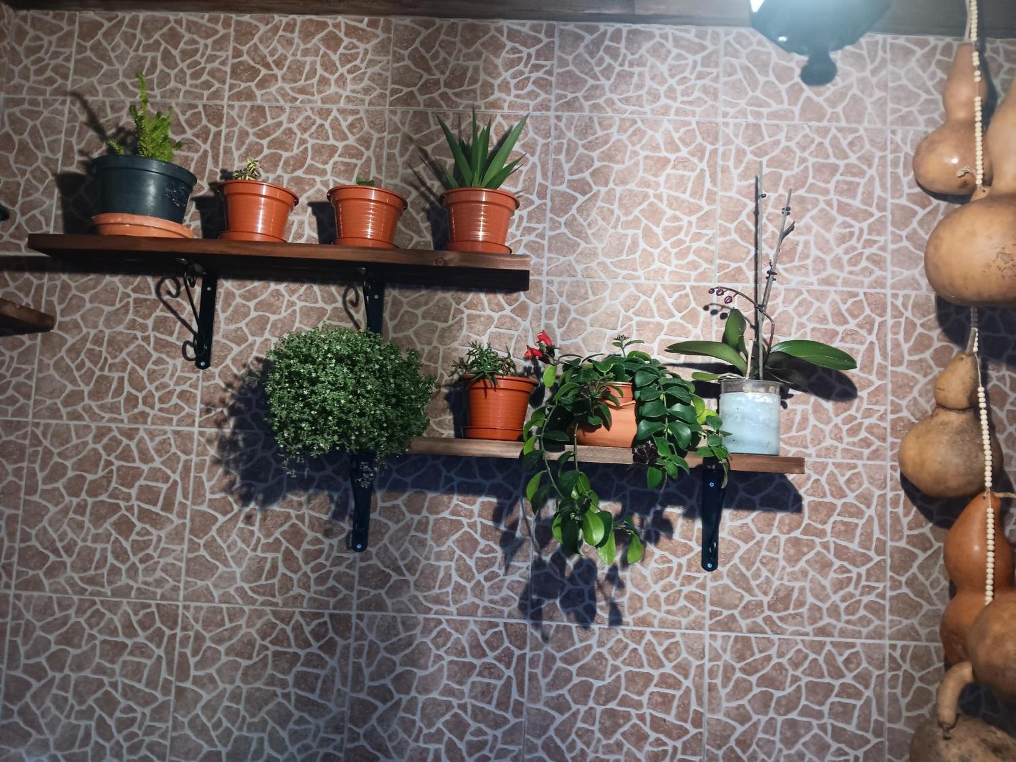 Villa Casa Da Rosarinha Água de Alto Esterno foto